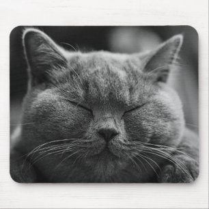 cat mouse pad