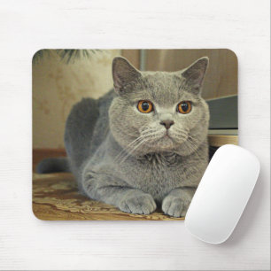 Cat Mouse Pad