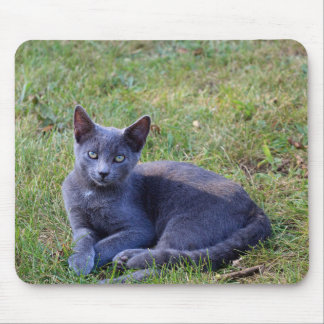 Cat Mouse Pad