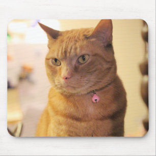 Cat Mouse Pad