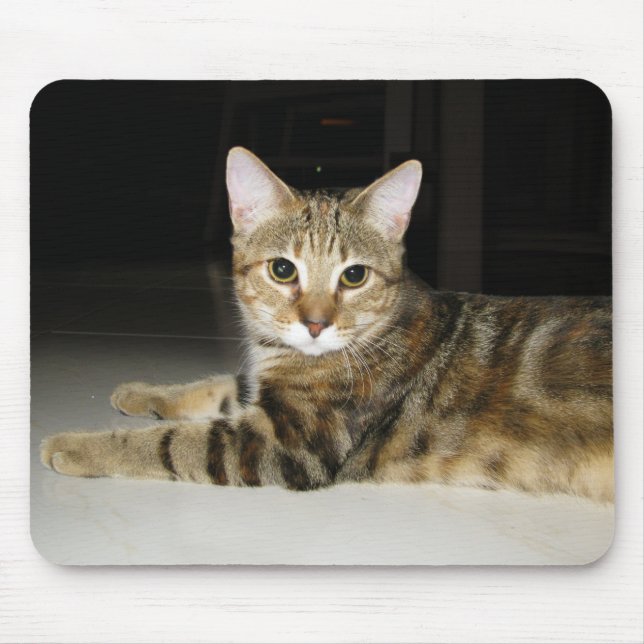 Cat Mouse Pad (Front)