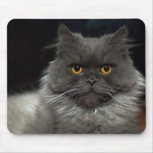 Cat Mouse Pad