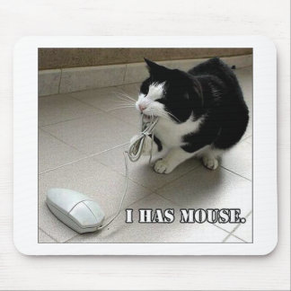Cat mouse pad