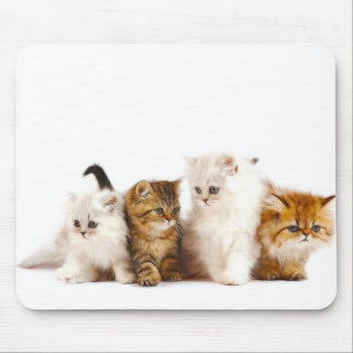 CAT MOUSE PAD