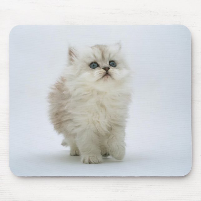Cat Mousepad (Front)