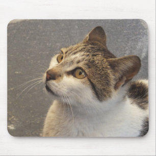 Cat mousepad