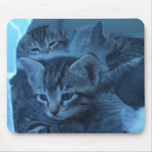 Cat mousepad