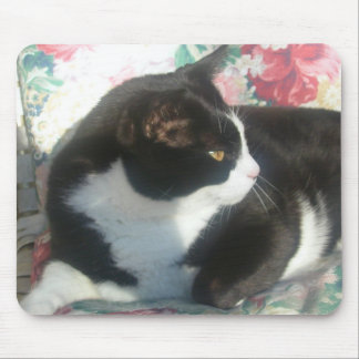 Cat Mousepad