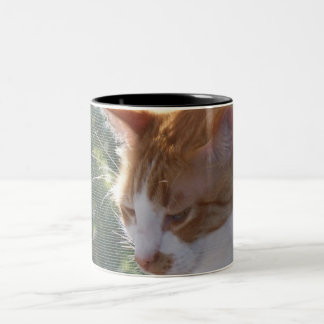 Cat Mug