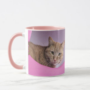 Cat Mug