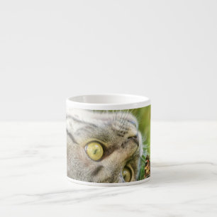 CAT MUG