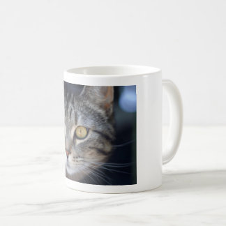 cat mug