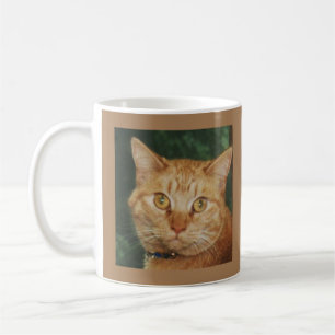 Cat Mug Eat Purr Love