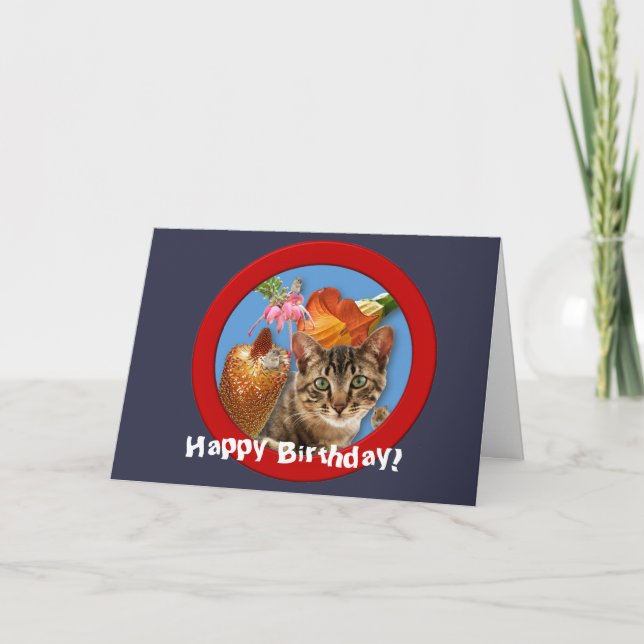 Cat 'n Mouse Birthday Card (Front)