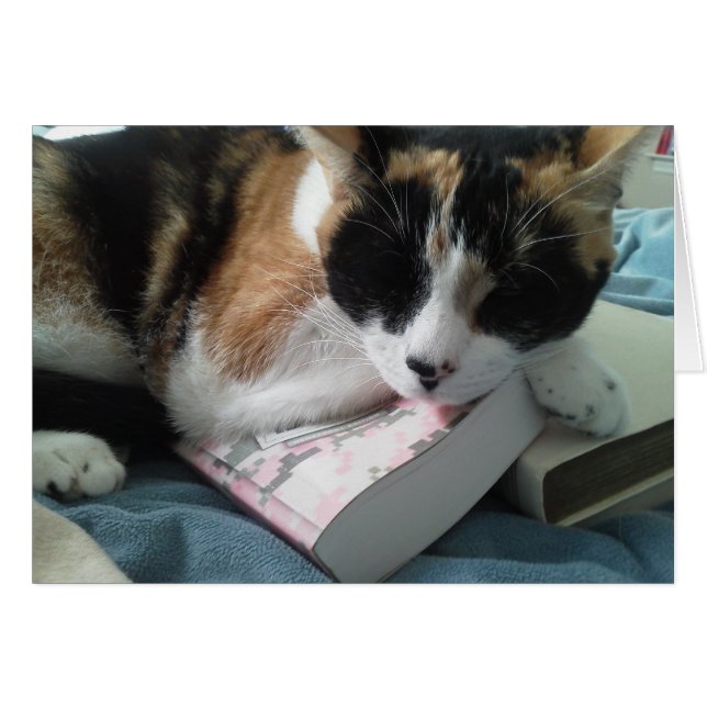 cat nap (Front Horizontal)