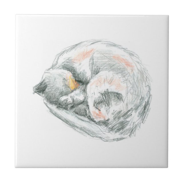 Cat Nap Ceramic Tile (Front)