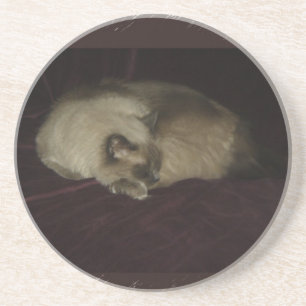 Cat nap coaster