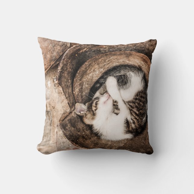 Cat Nap Cushion (Front)