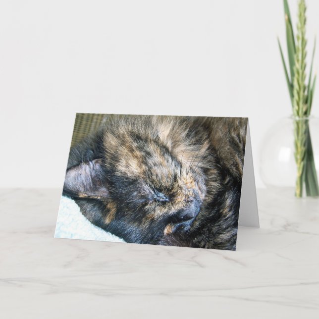 Cat Nap Greeting Card (Front)
