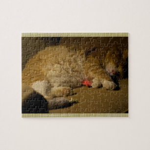 Cat Nap Jigsaw Puzzle