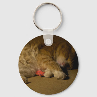 Cat Nap Key Ring