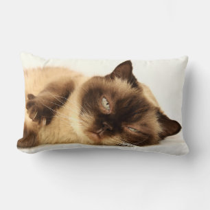 Cat Nap Lumbar Cushion
