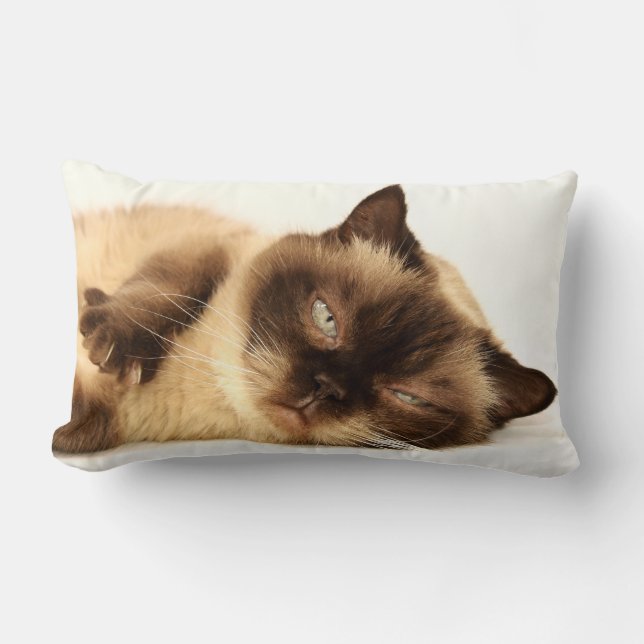 Cat Nap Lumbar Cushion (Front)