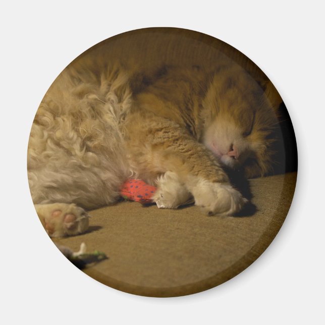 Cat Nap Magnet (Front)