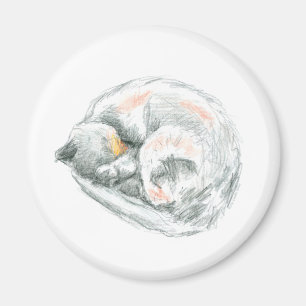 Cat Nap Magnet