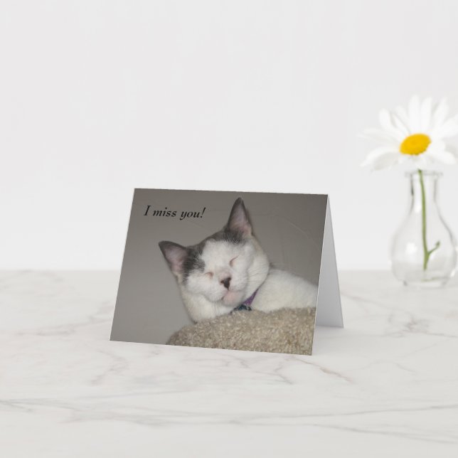 Cat Nap-Missing You  Card (Small Plant)