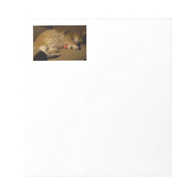 Cat Nap Notepad (Front)