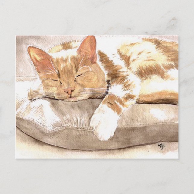 Cat Nap Postcard (Front)