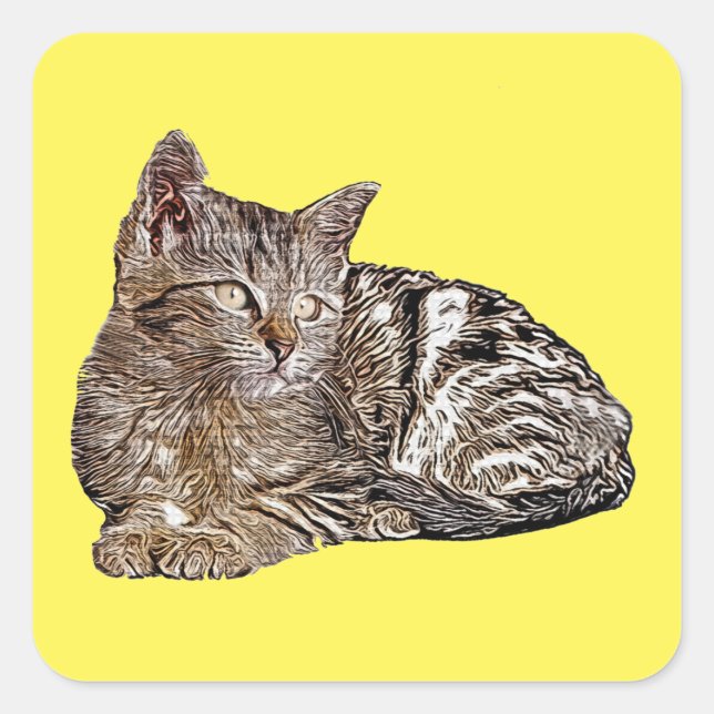 Cat Nap Sticker (Front)