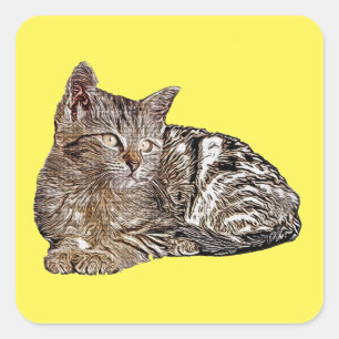 Cat Nap Sticker