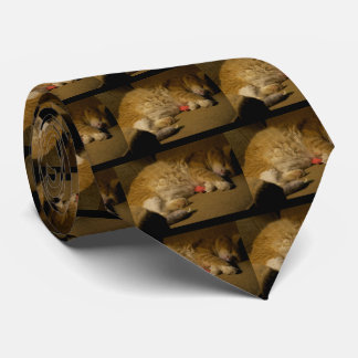 Cat Nap Tie