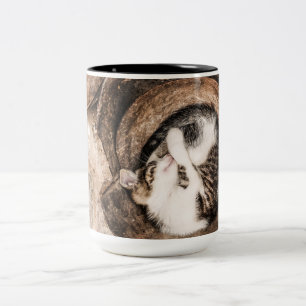 Cat Nap Two-Tone Coffee Mug
