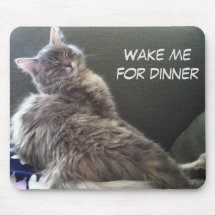 Cat Nap: Wake me for dinner