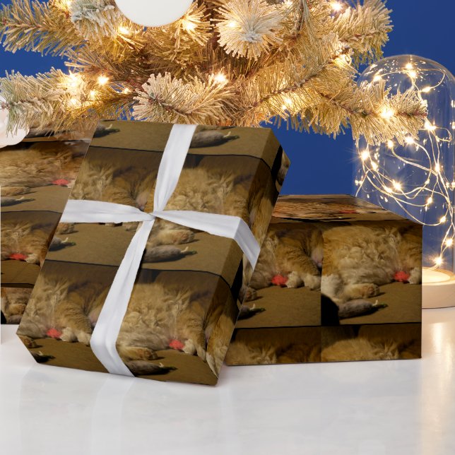 Cat Nap Wrapping Paper (Holidays)