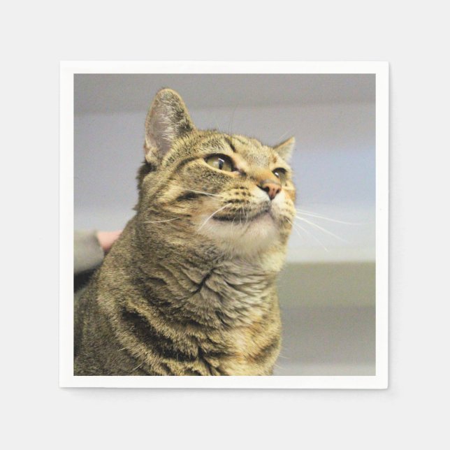 Cat Napkin (Front)