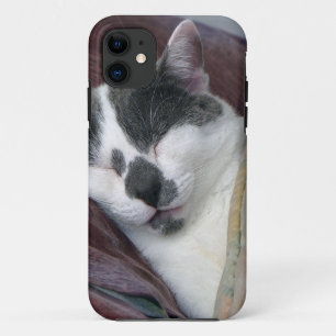 Cat Napping iPhone 11 Case