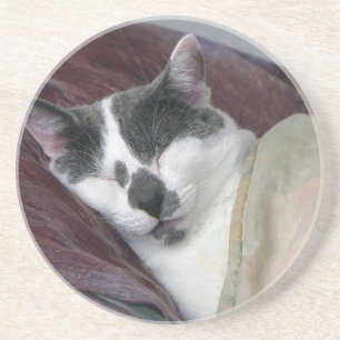 Cat Napping Coaster