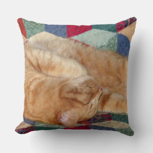 Cat Napping Cushion