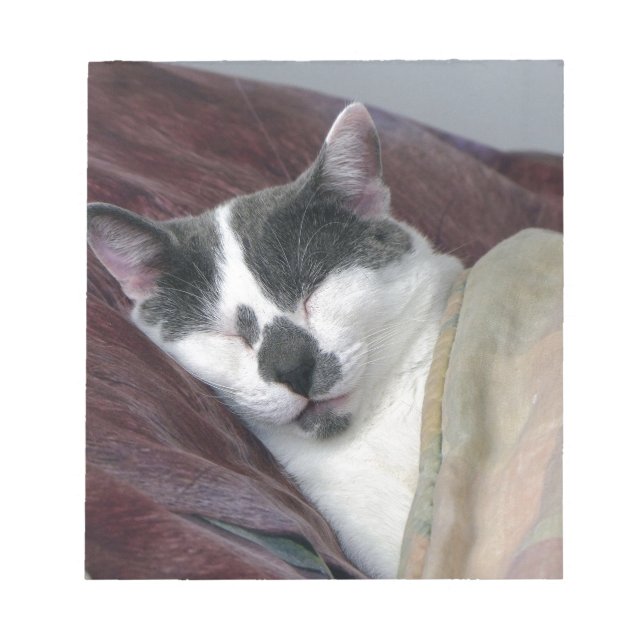 Cat Napping Notepad (Front)