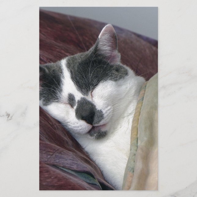 Cat Napping Stationery (Front)