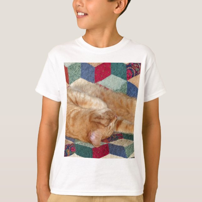 Cat Napping T-Shirt (Front)
