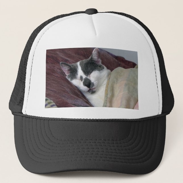 Cat Napping Trucker Hat (Front)