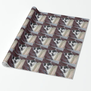 Cat Napping Wrapping Paper