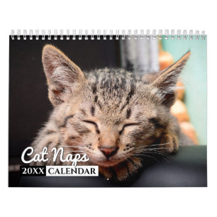 Cat Naps Photo Wall Calendar