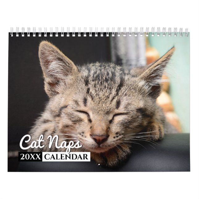 Cat Naps Photo Wall Calendar (Cover)