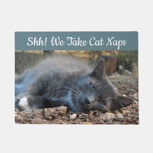 Cat Naps Shady Cat Door Mat (Front)